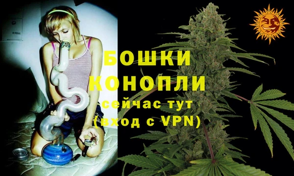 PSILOCYBIN Арсеньев