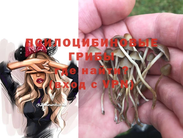 соль курить ск Аркадак