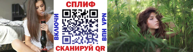 Шишки марихуана сатива  Тарко-Сале 